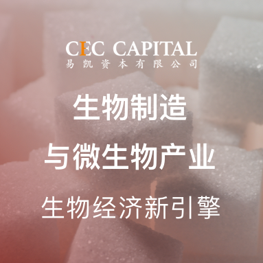 CEC CAPITAL