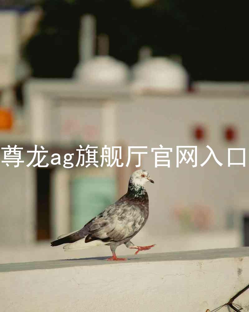 尊龙ag旗舰厅官网入口