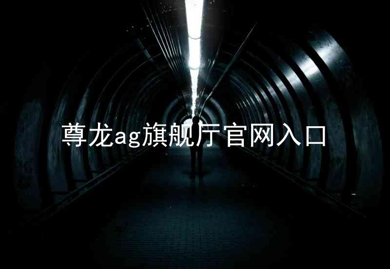 尊龙ag旗舰厅官网入口